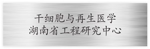 干细胞与再生医学湖南省工程研究中心
